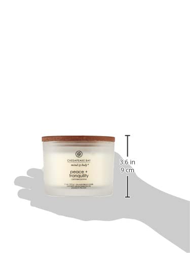 Chesapeake Bay Candle Medium Jar Scented Candle