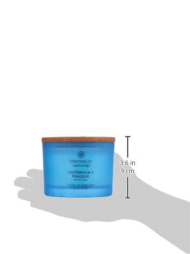 Chesapeake Bay Candle Medium Jar Scented Candle