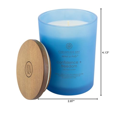 Chesapeake Bay Candle Medium Jar Scented Candle