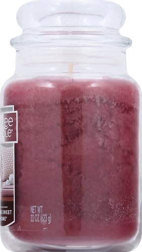 Yankee Candle Spiced Pumpkin, 22oz