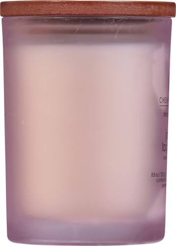 Chesapeake Bay Candle Medium Jar Scented Candle