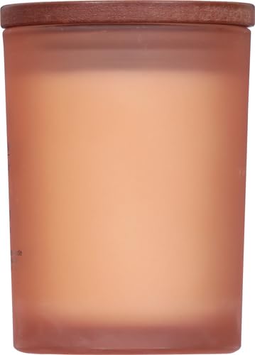 Chesapeake Bay Candle Medium Jar Scented Candle