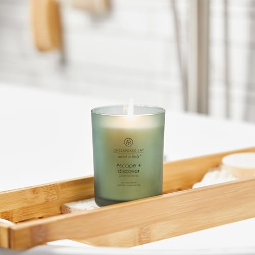 Chesapeake Bay Candle Medium Jar Scented Candle