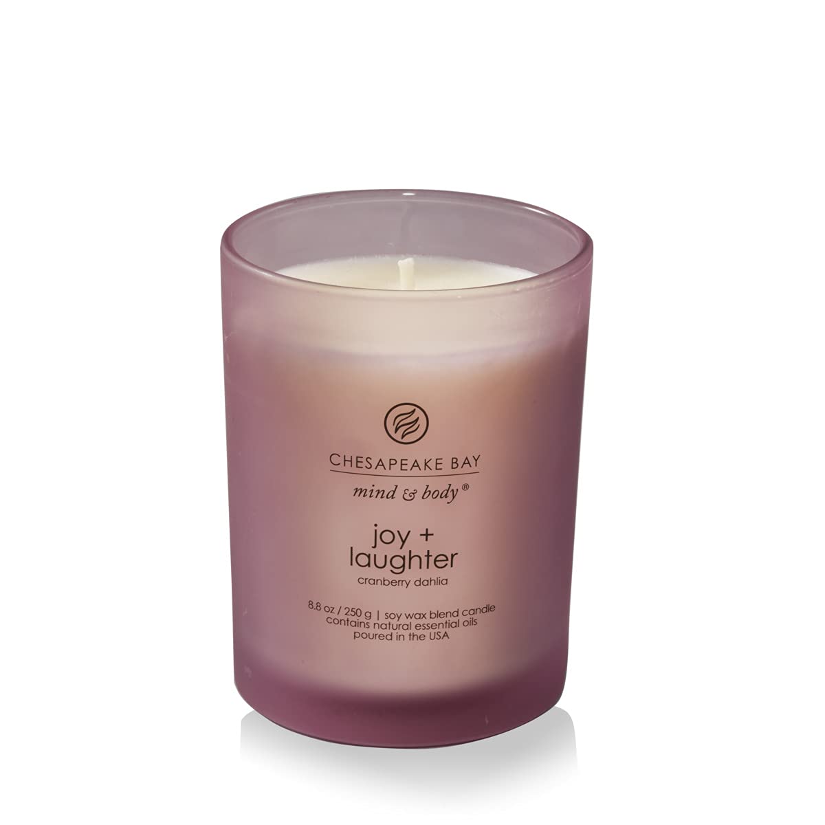 Chesapeake Bay Candle Medium Jar Scented Candle