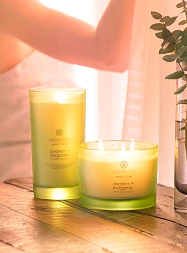 Chesapeake Bay Candle Medium Jar Scented Candle