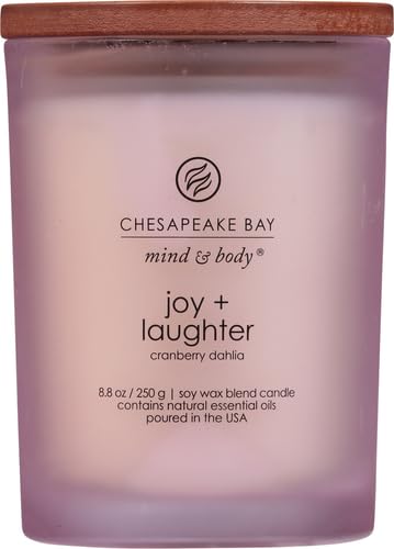 Chesapeake Bay Candle Medium Jar Scented Candle