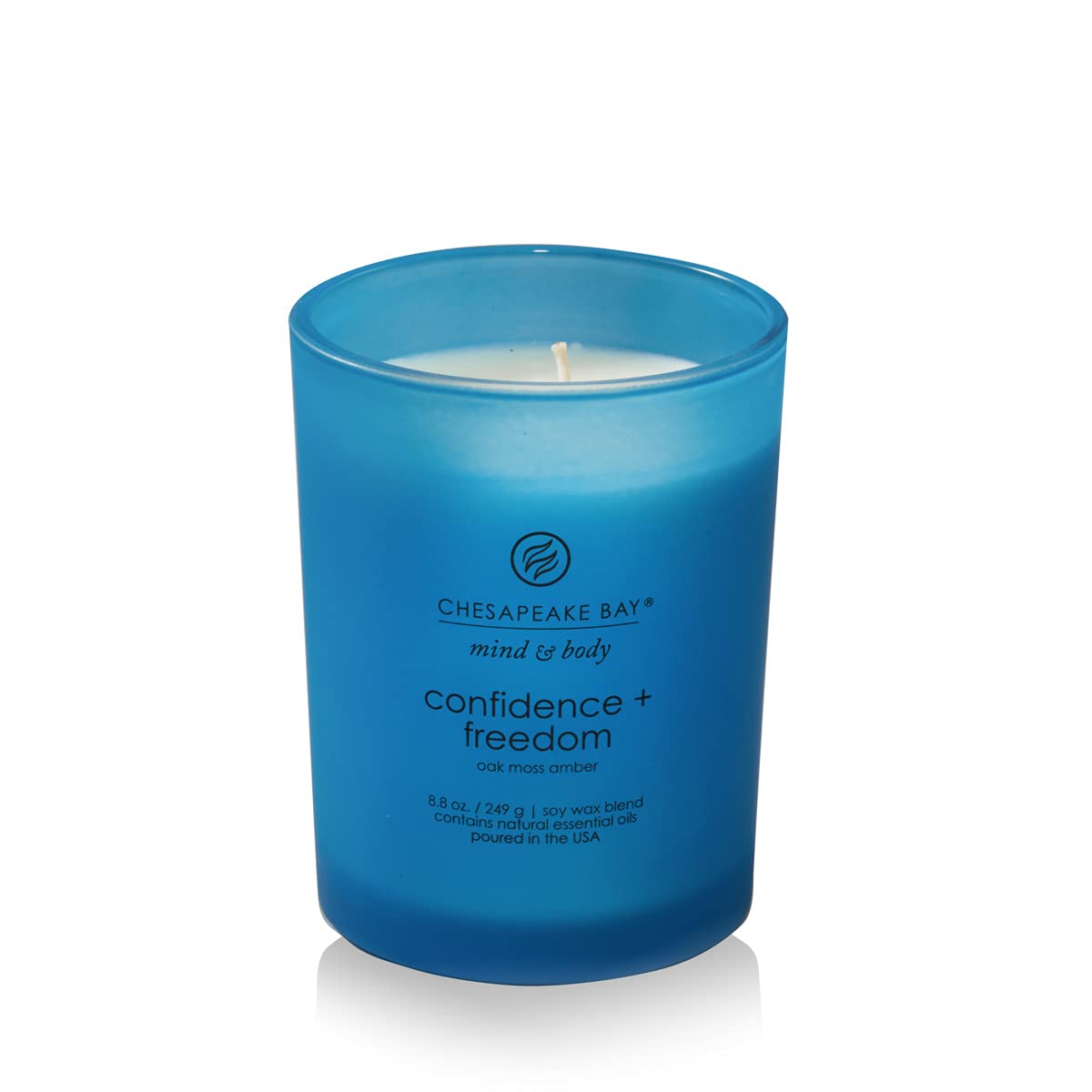 Chesapeake Bay Candle Medium Jar Scented Candle