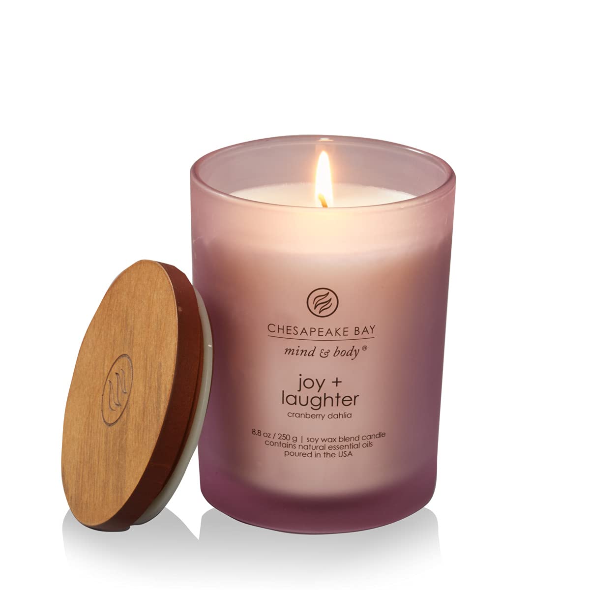 Chesapeake Bay Candle Medium Jar Scented Candle