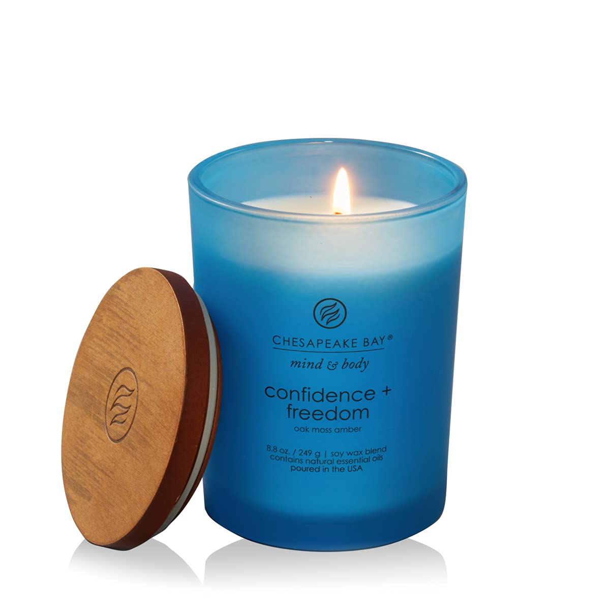 Chesapeake Bay Candle Medium Jar Scented Candle