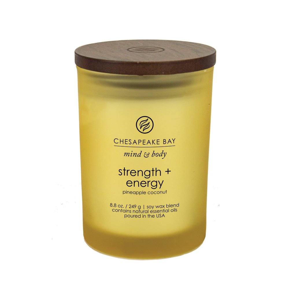 Chesapeake Bay Candle Medium Jar Scented Candle