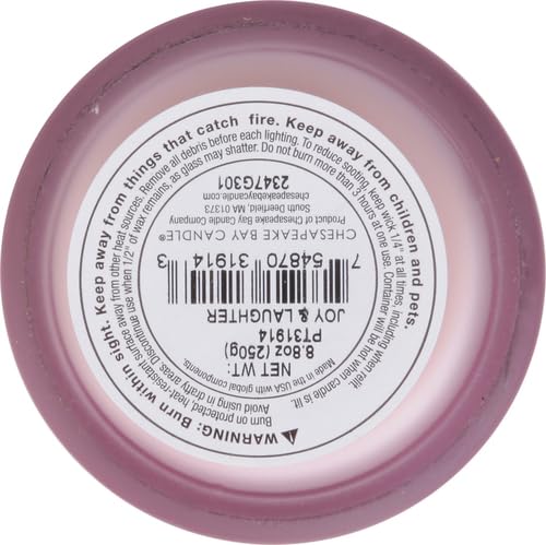 Chesapeake Bay Candle Medium Jar Scented Candle
