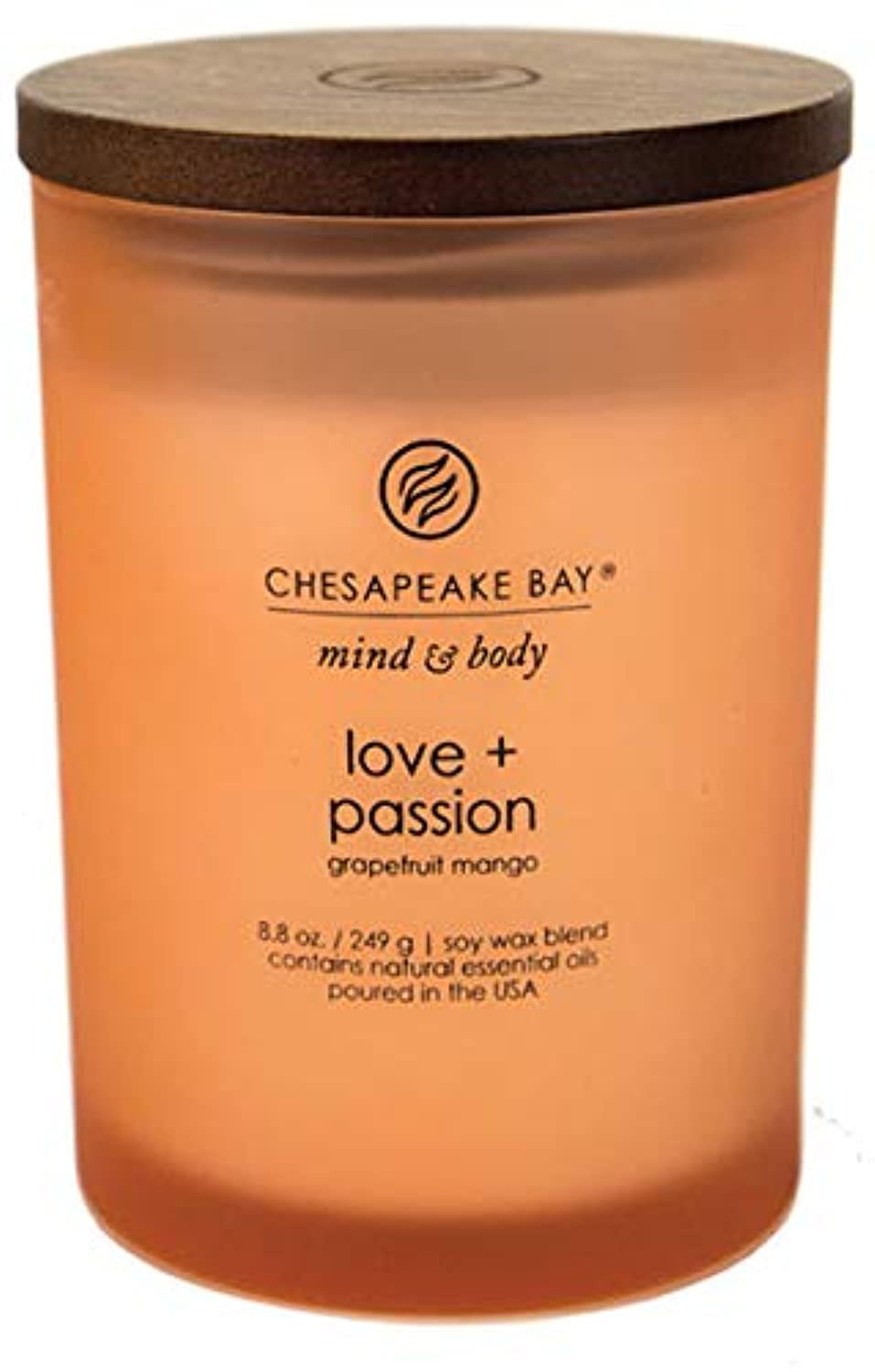 Chesapeake Bay Candle Medium Jar Scented Candle