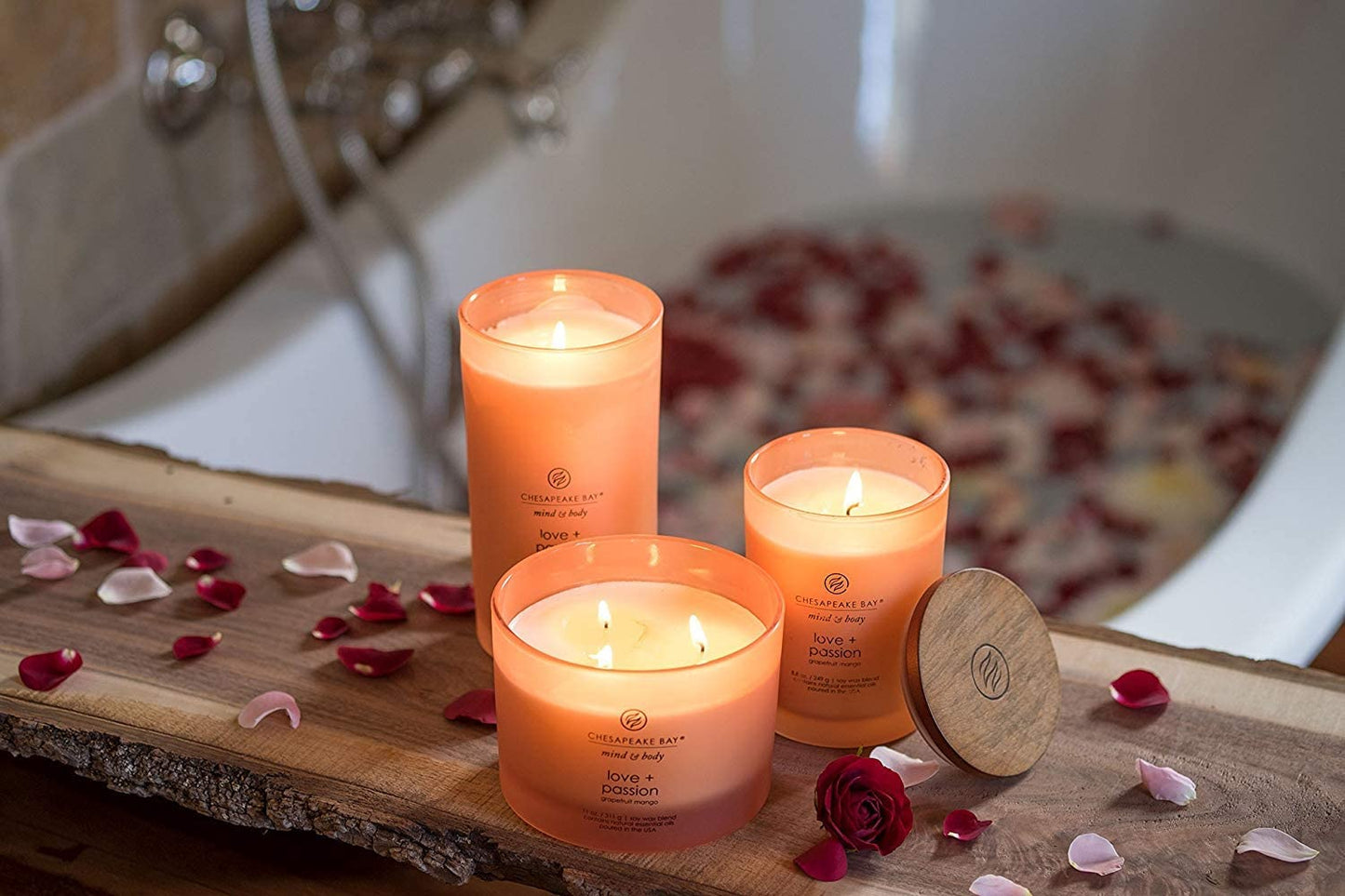 Chesapeake Bay Candle Medium Jar Scented Candle