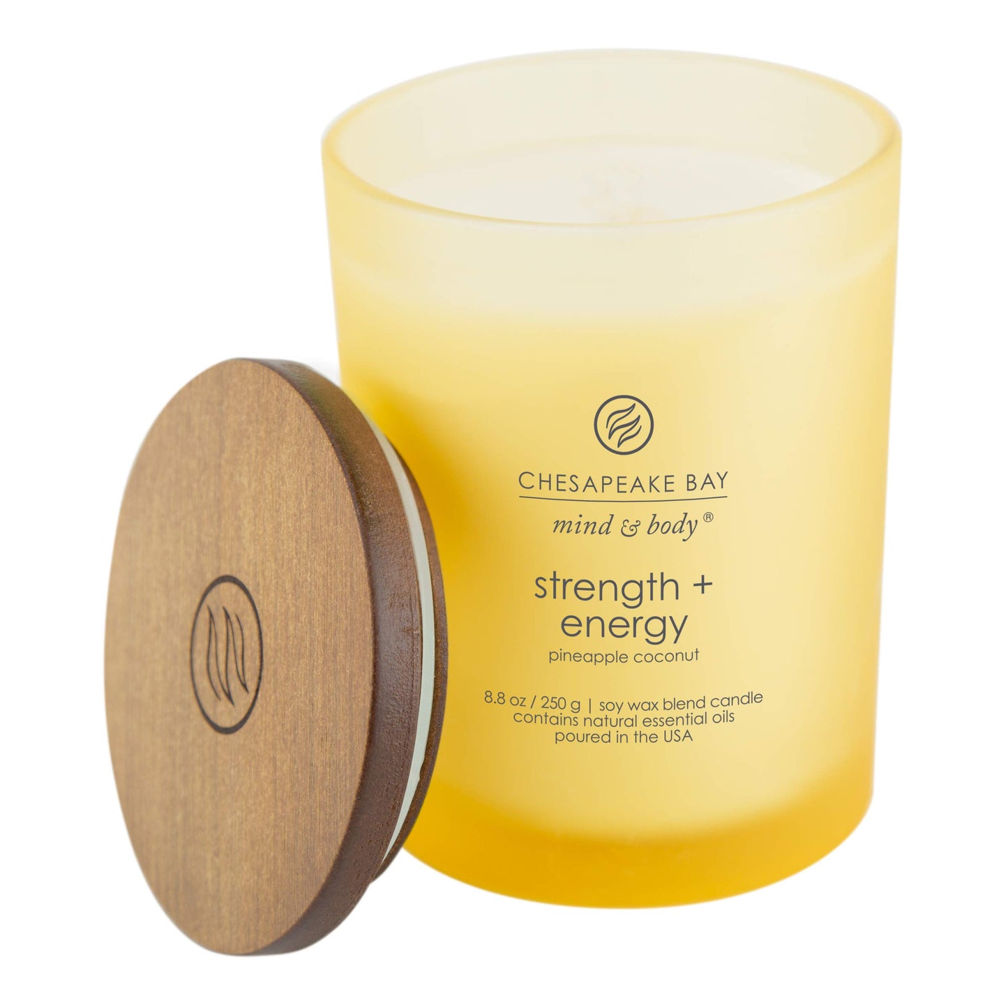 Chesapeake Bay Candle Medium Jar Scented Candle