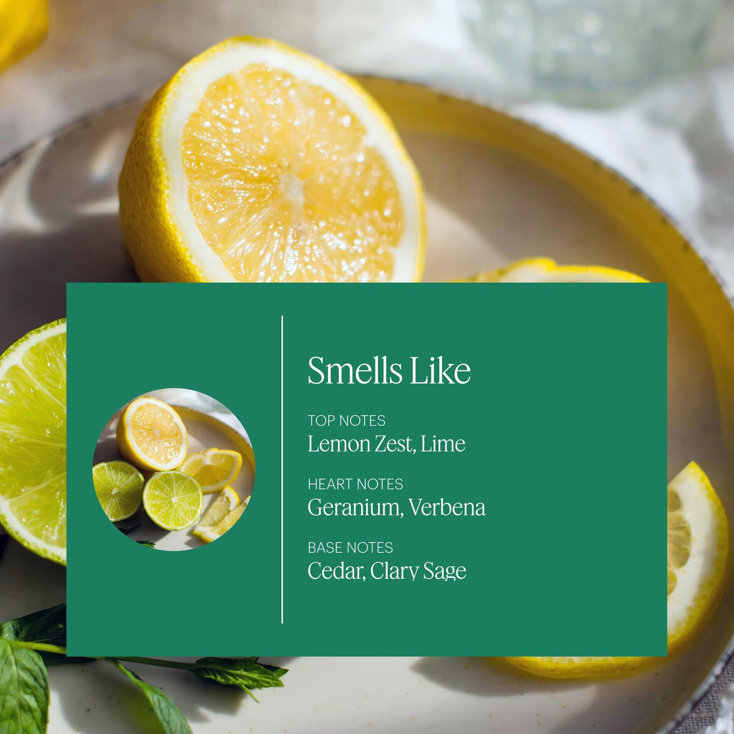 Aera Mini Citrus & Sage Refill Capsule