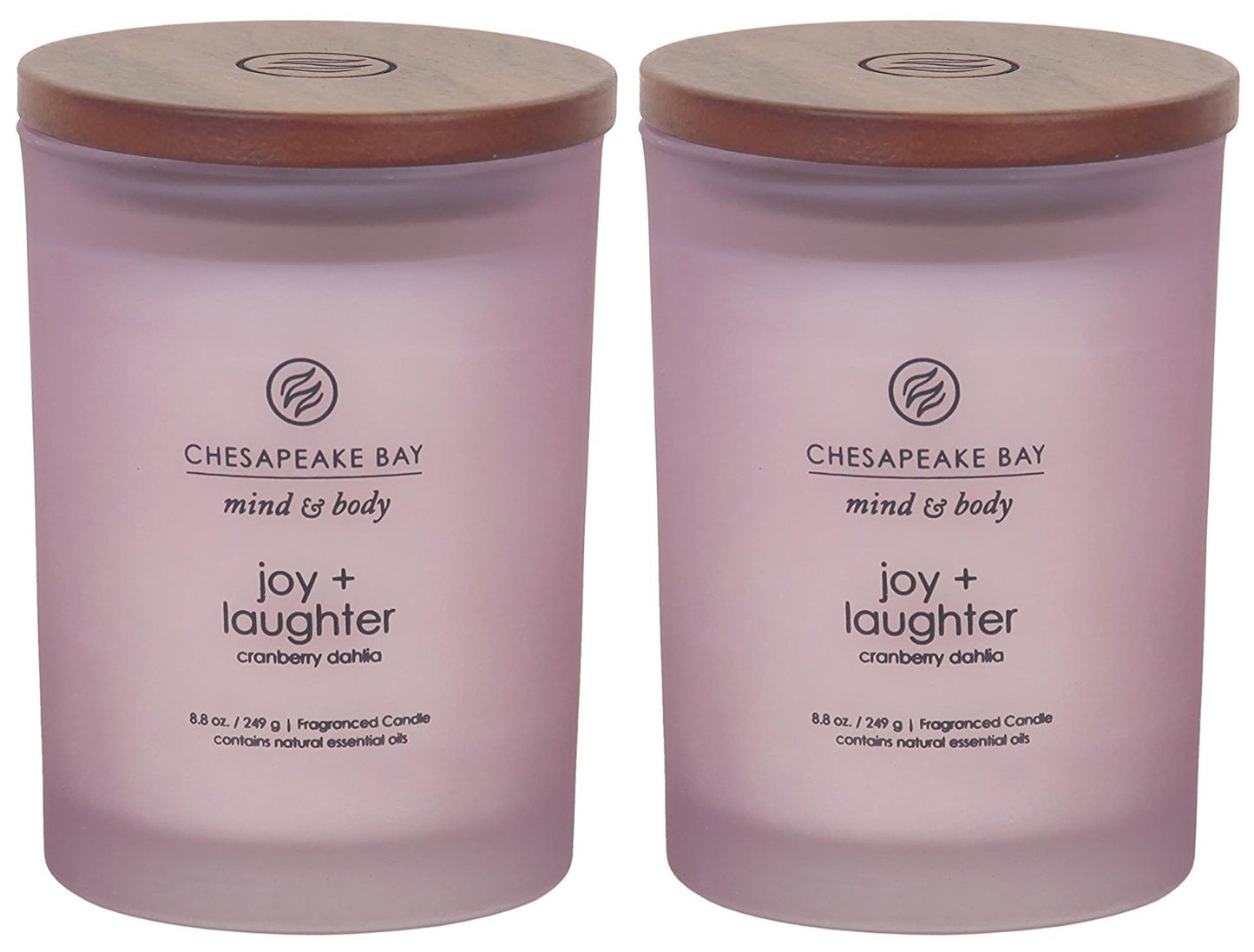 Chesapeake Bay Candle Medium Jar Scented Candle