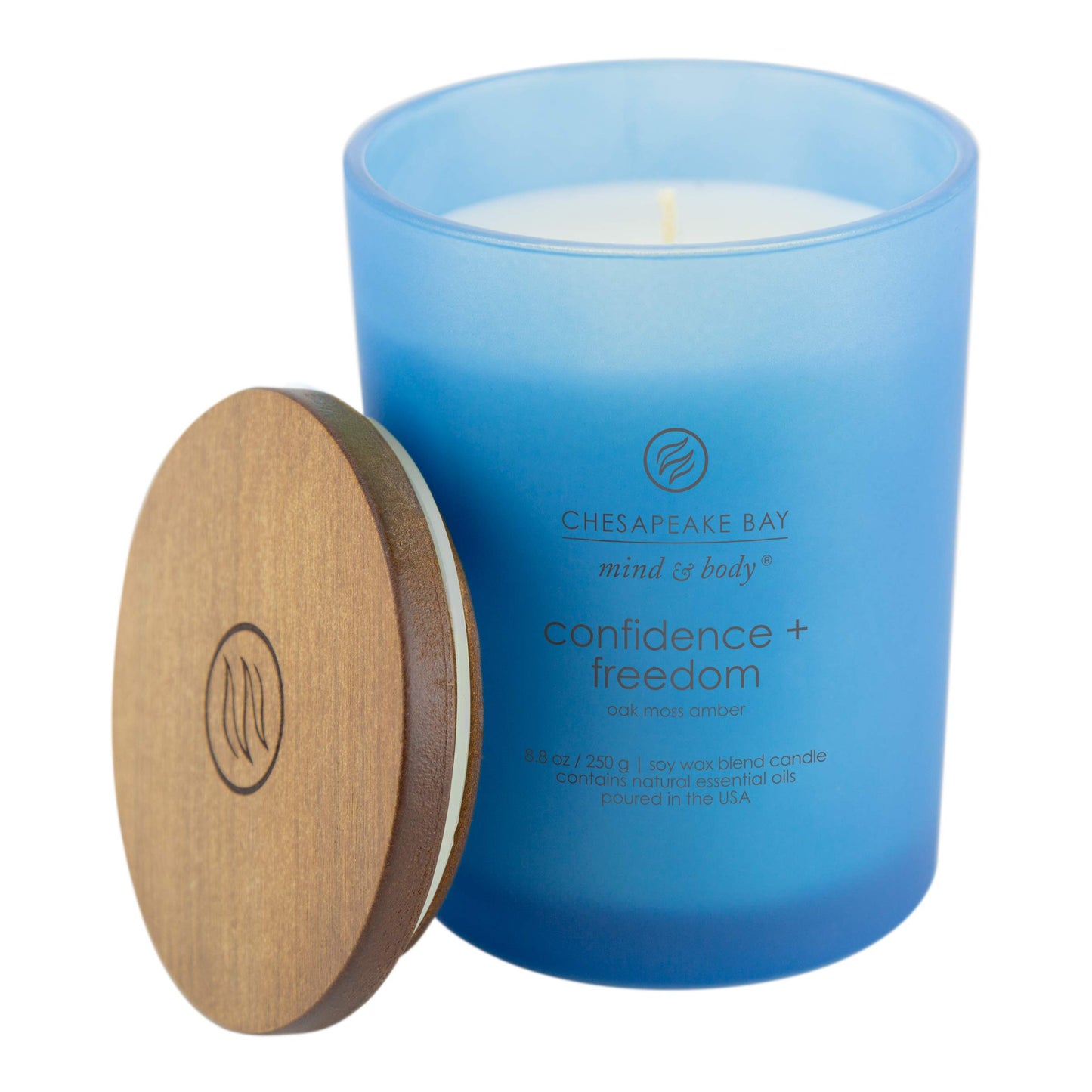 Chesapeake Bay Candle Medium Jar Scented Candle