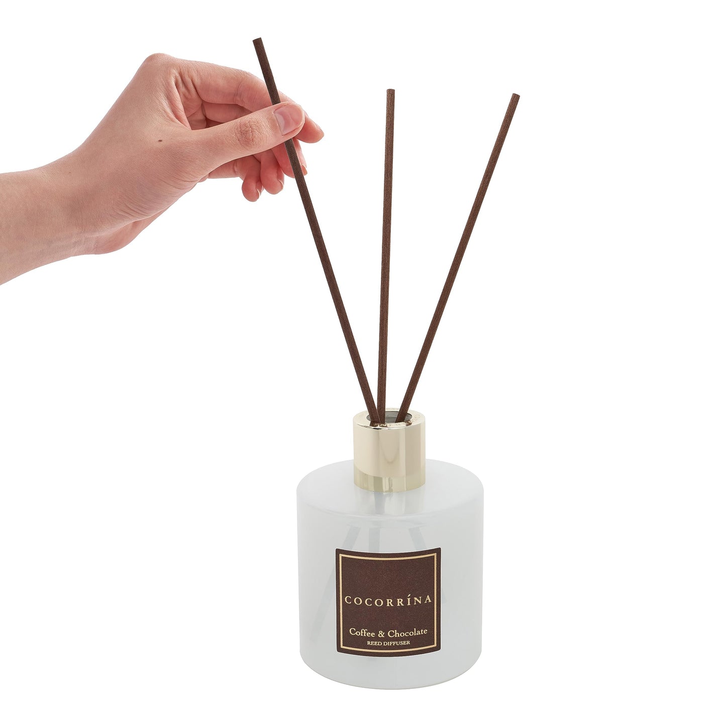Cocorrína Clean Linen Reed Diffuser 6.7oz