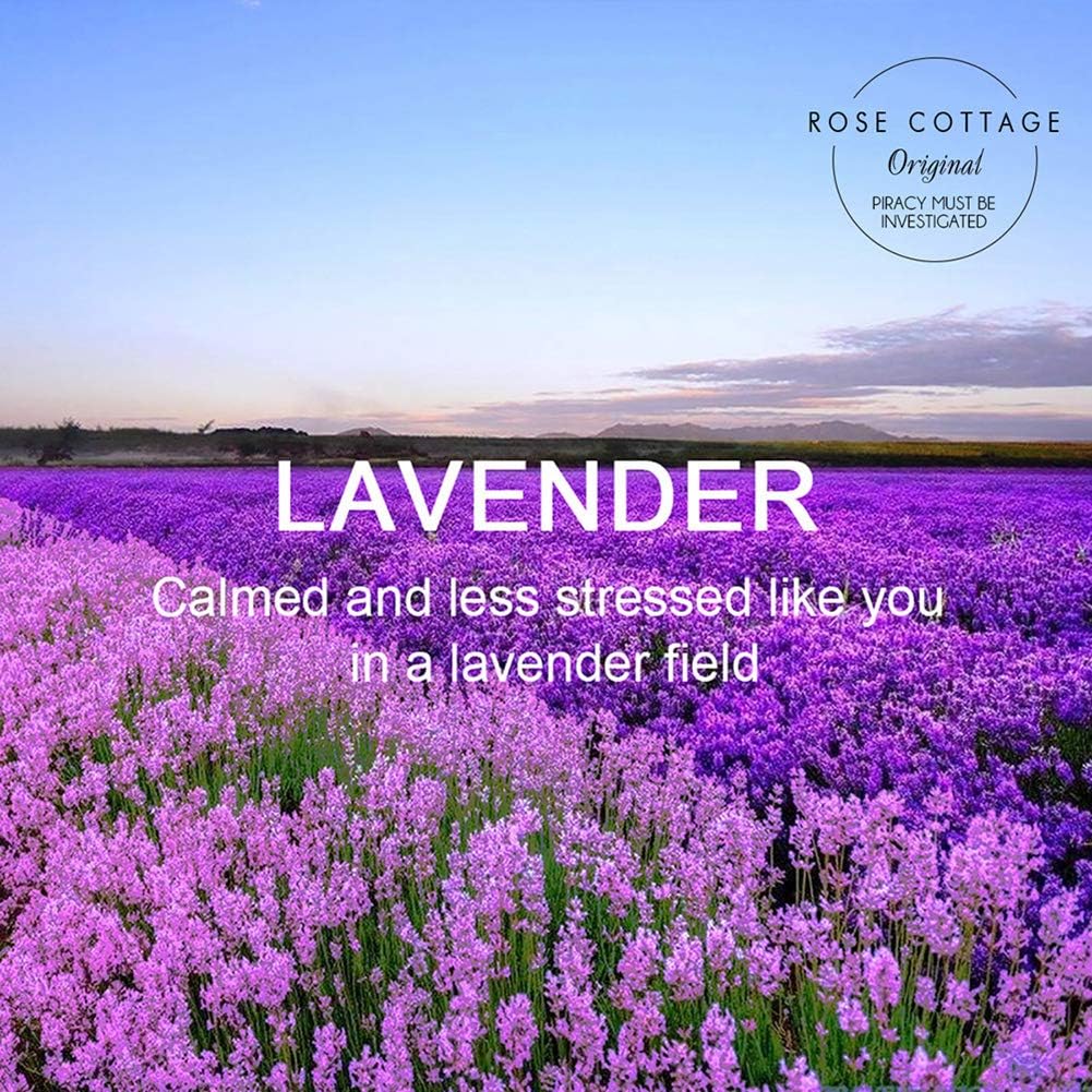 12-Pack Lavender Hanging Closet Air Fresheners