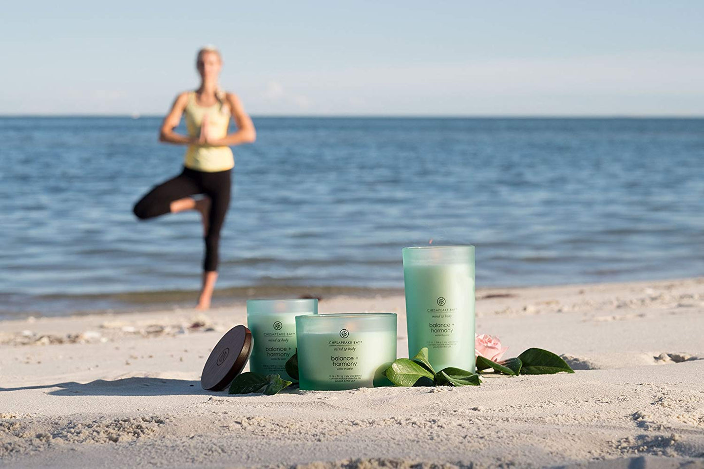 Chesapeake Bay Candle Medium Jar Scented Candle