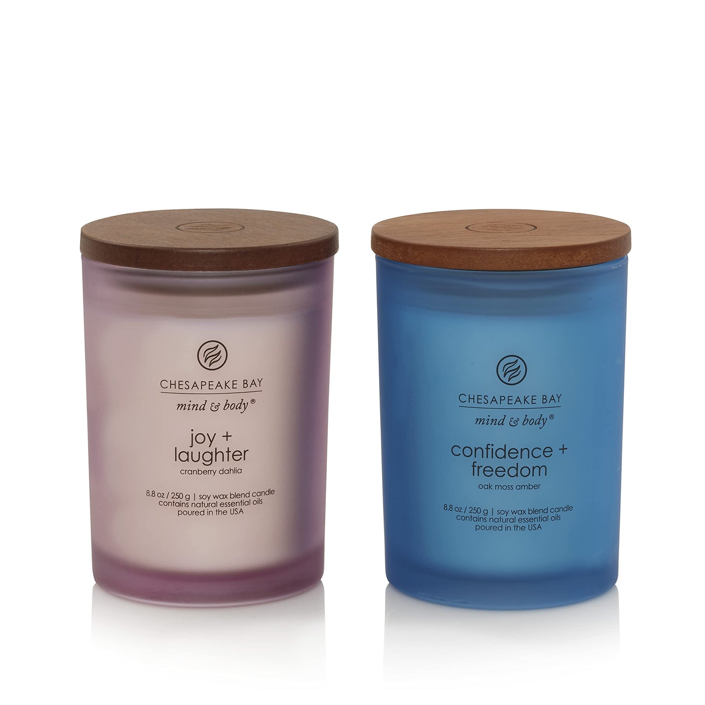 Chesapeake Bay Candle Medium Jar Scented Candle