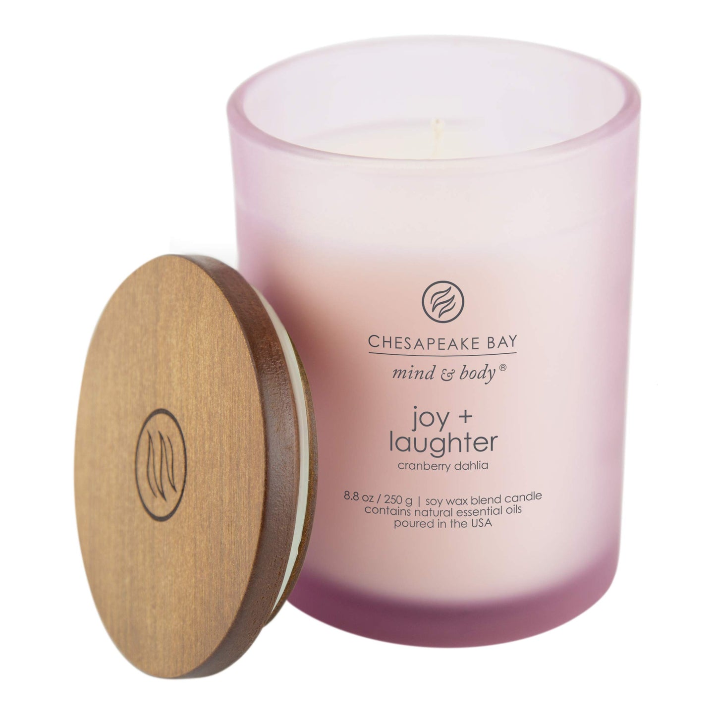 Chesapeake Bay Candle Medium Jar Scented Candle