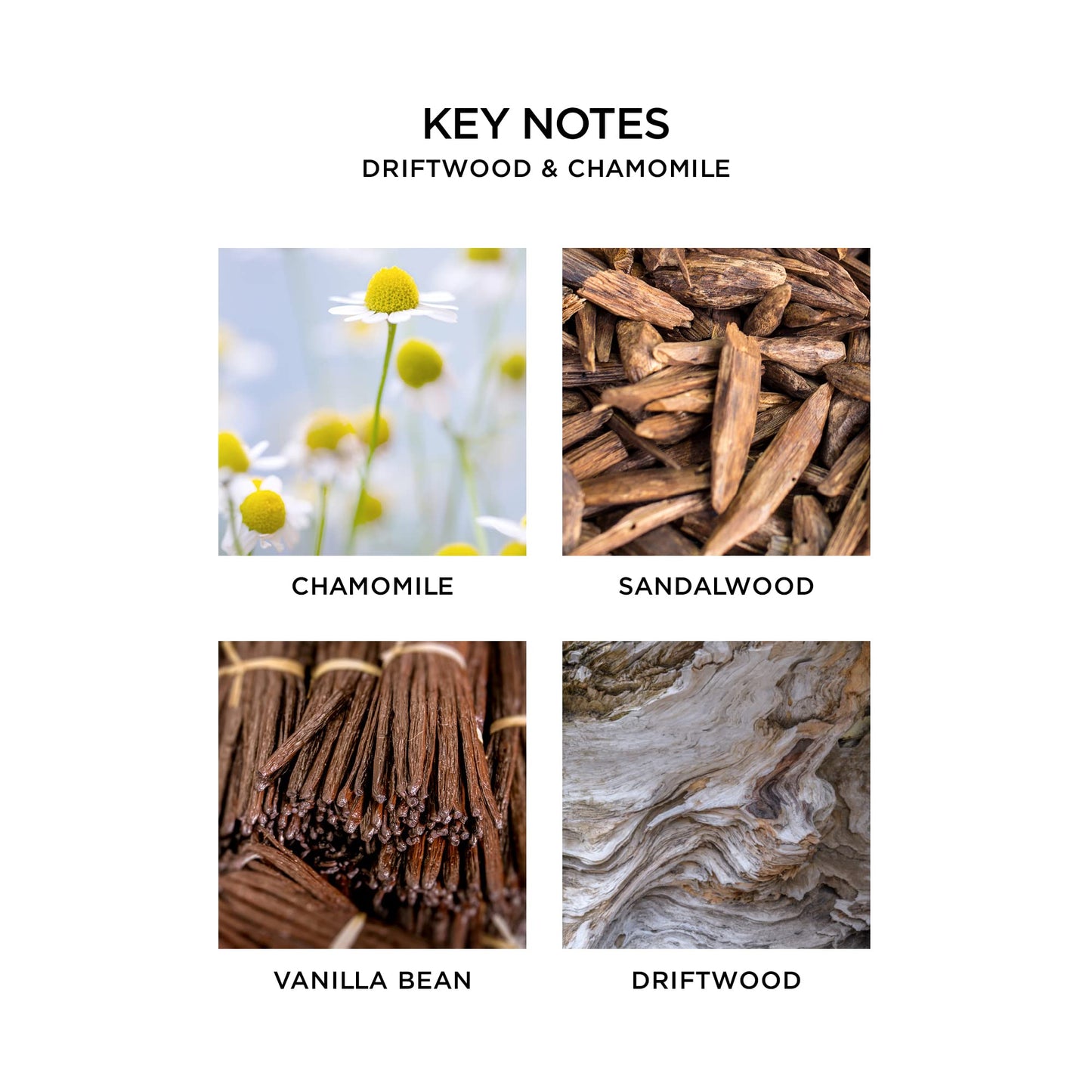 NEST Driftwood & Chamomile Candle, 4-Wick