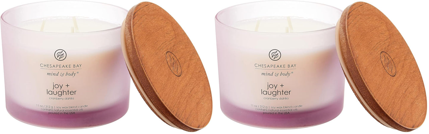 Chesapeake Bay Candle Medium Jar Scented Candle