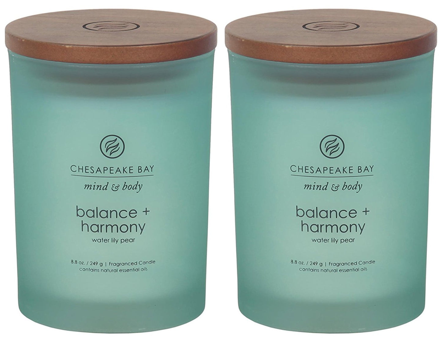 Chesapeake Bay Candle Medium Jar Scented Candle
