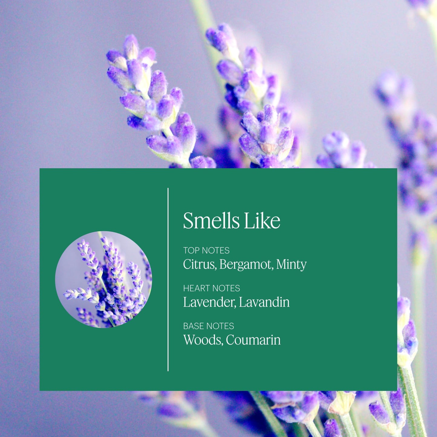 Aera Mini Citrus & Sage Refill Capsule