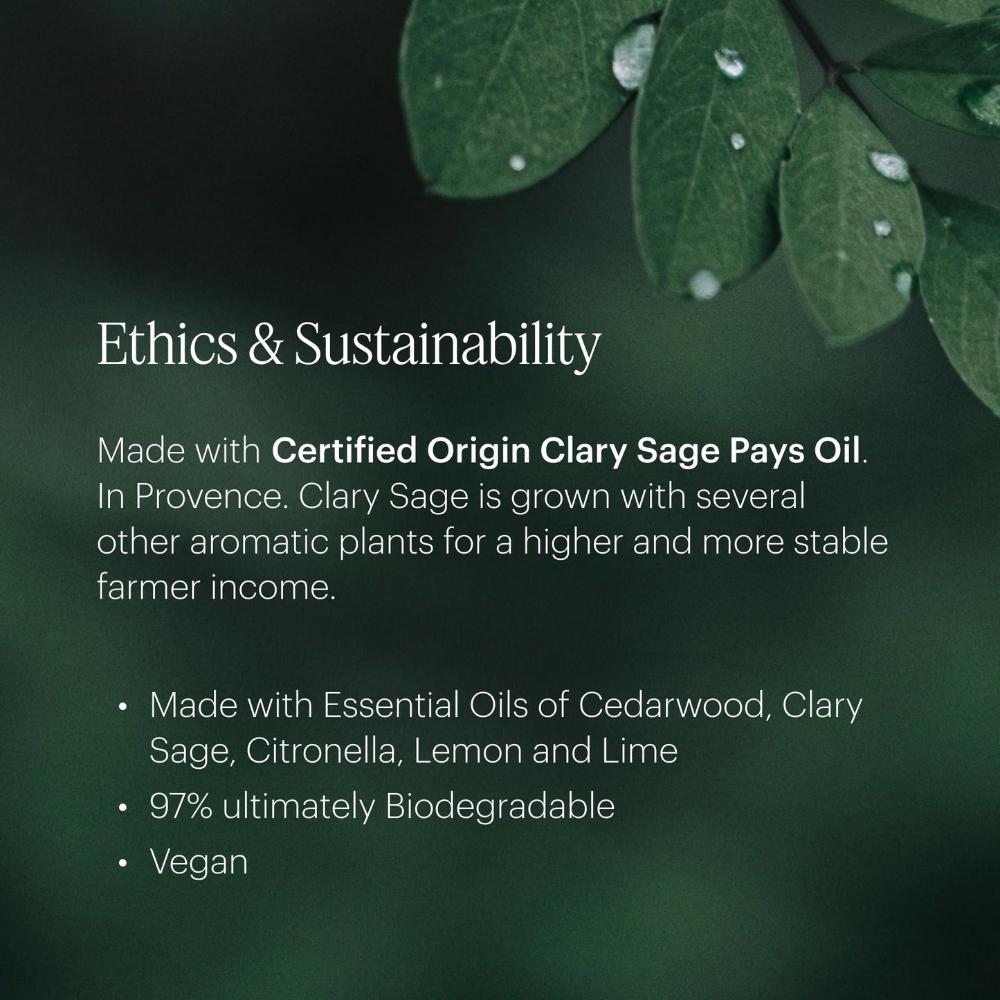 Aera Mini Citrus & Sage Refill Capsule