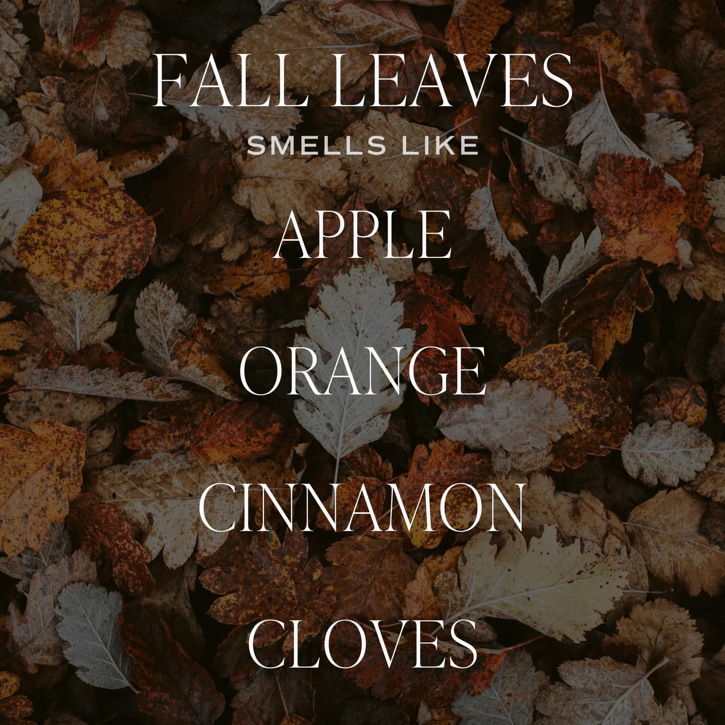 Sweet Water Decor Hello Fall Soy Candle, 9oz