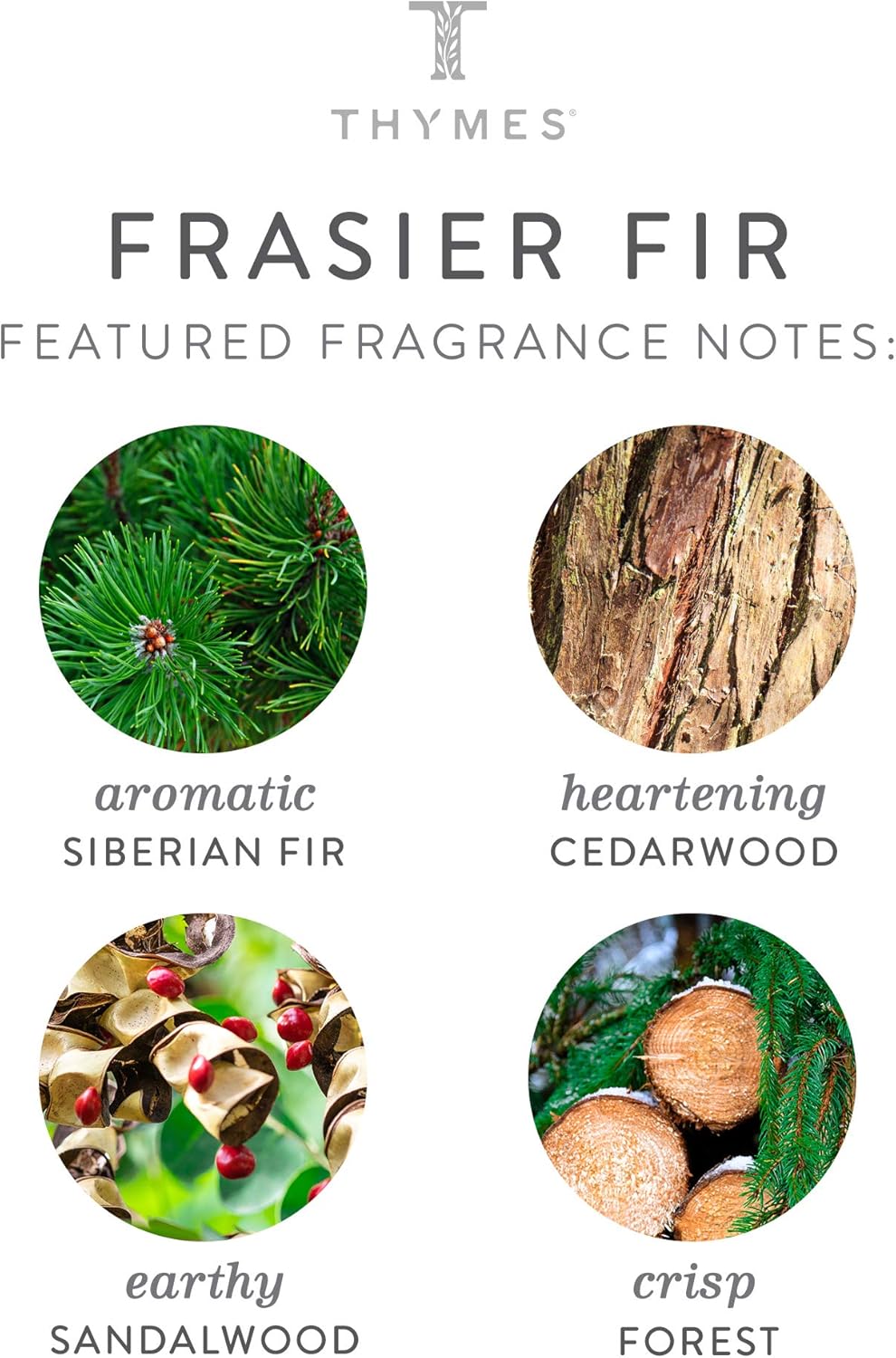 Thymes Frasier Fir Reed Diffuser, 4oz