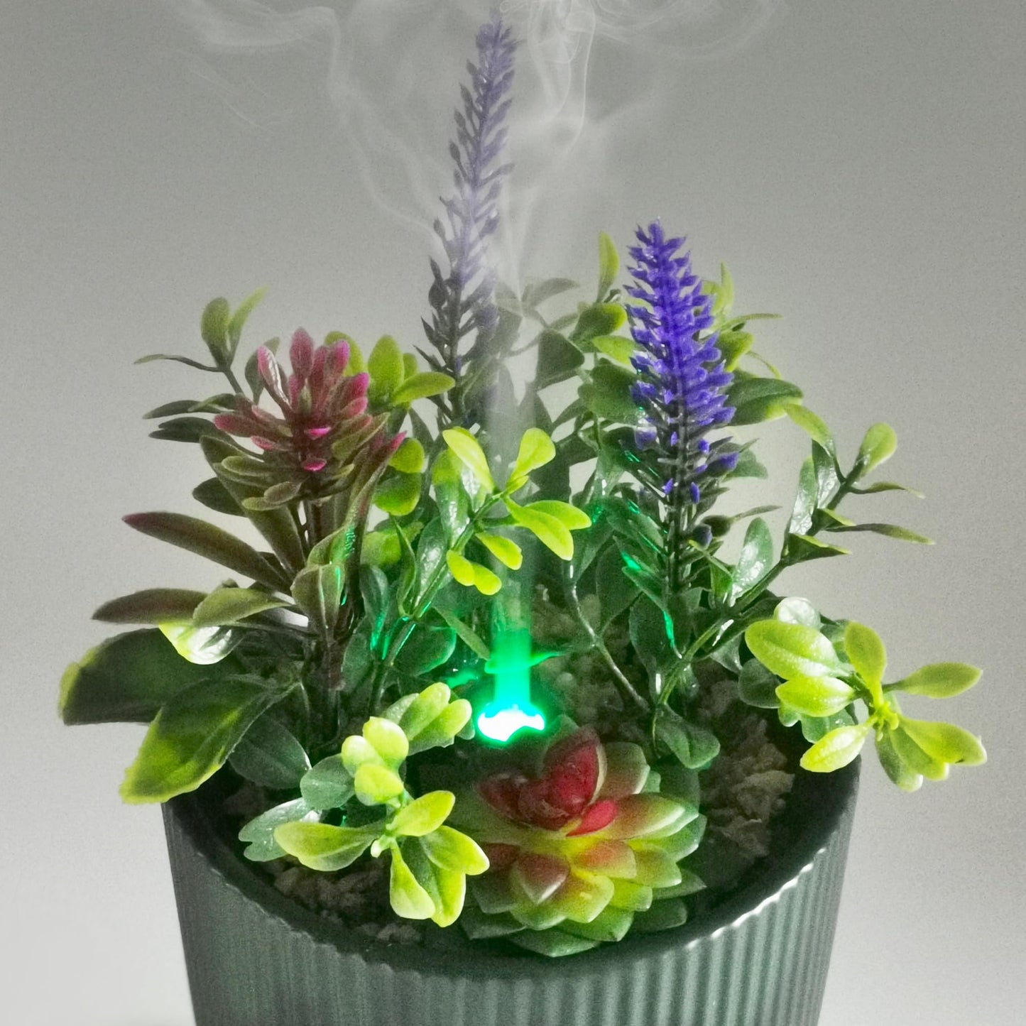 Earnest Living Ceramic Oil Diffuser 100ml