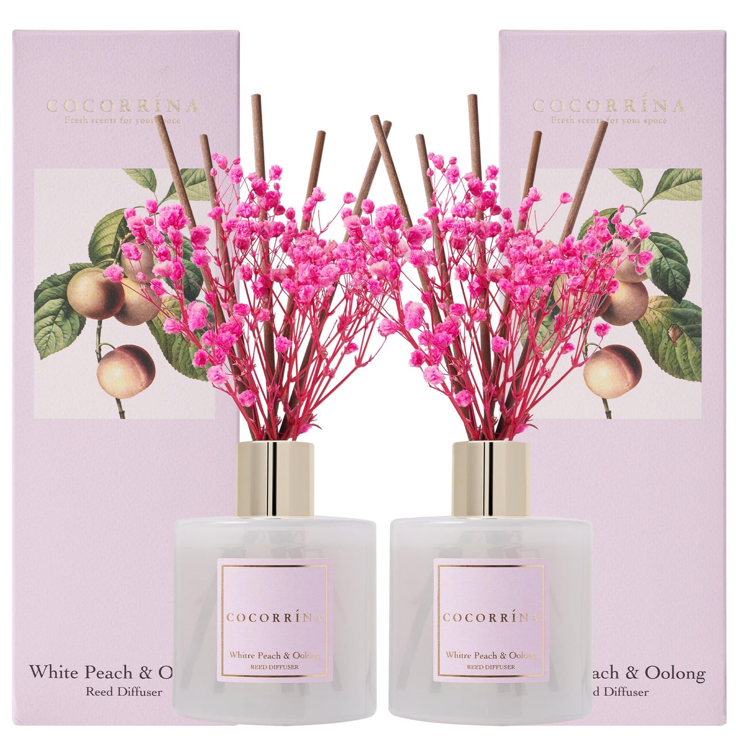 Cocorrína Clean Linen Reed Diffuser 6.7oz