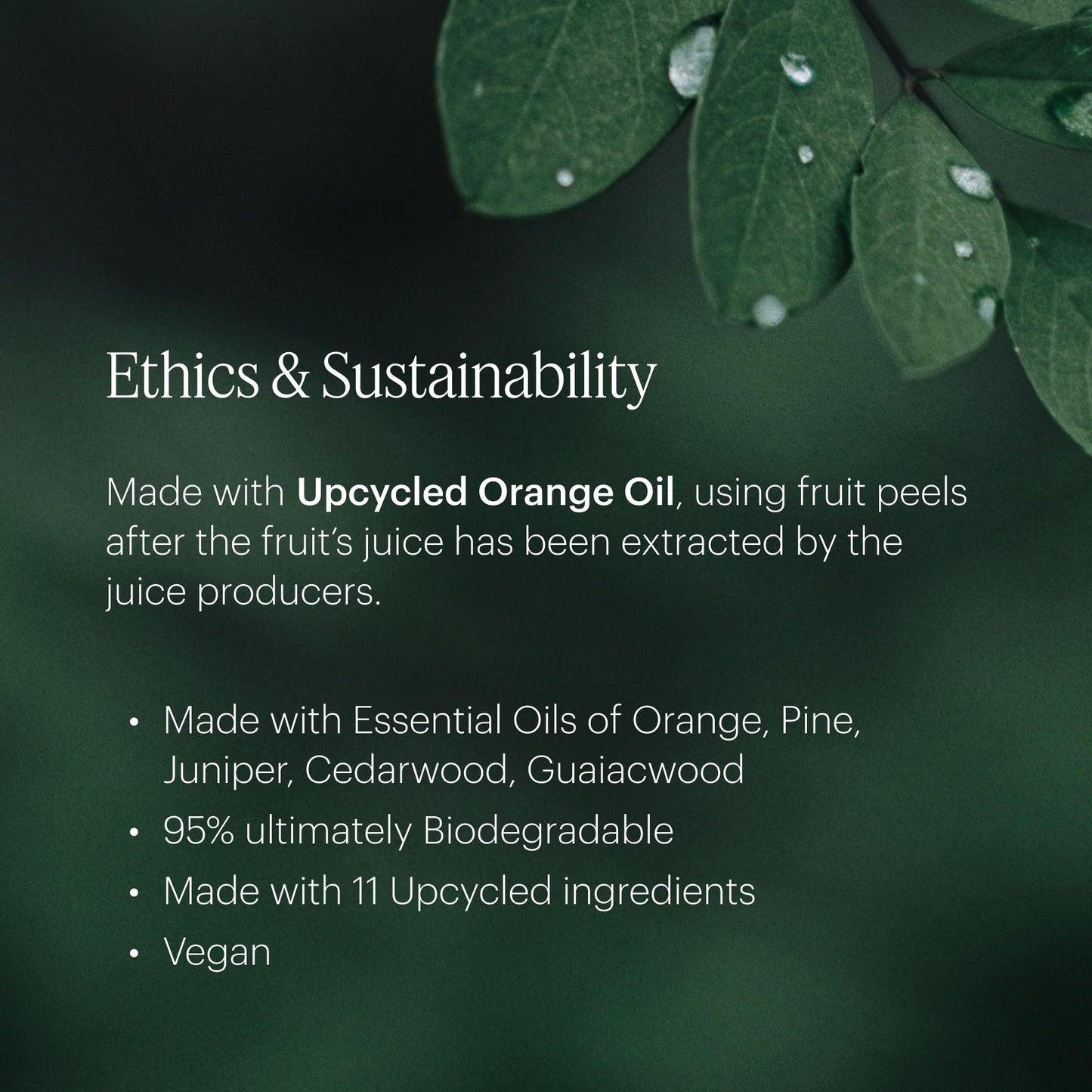 Aera Mini Citrus & Sage Refill Capsule