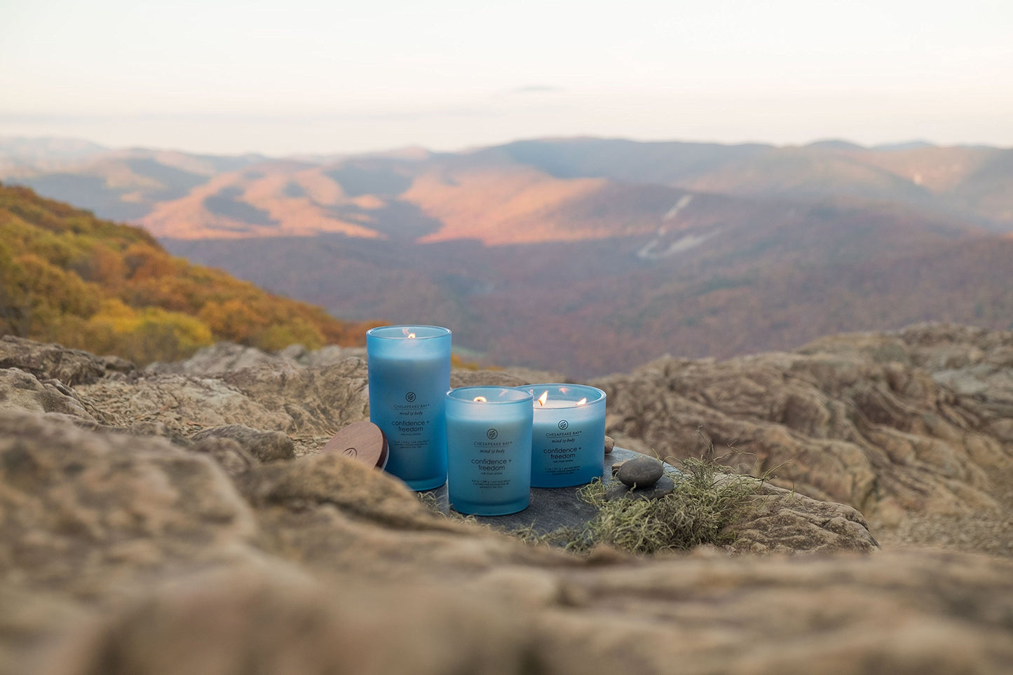 Chesapeake Bay Candle Medium Jar Scented Candle