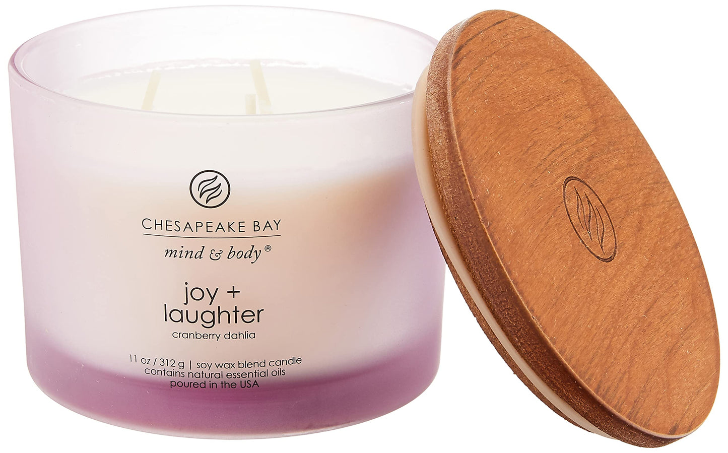 Chesapeake Bay Candle Medium Jar Scented Candle