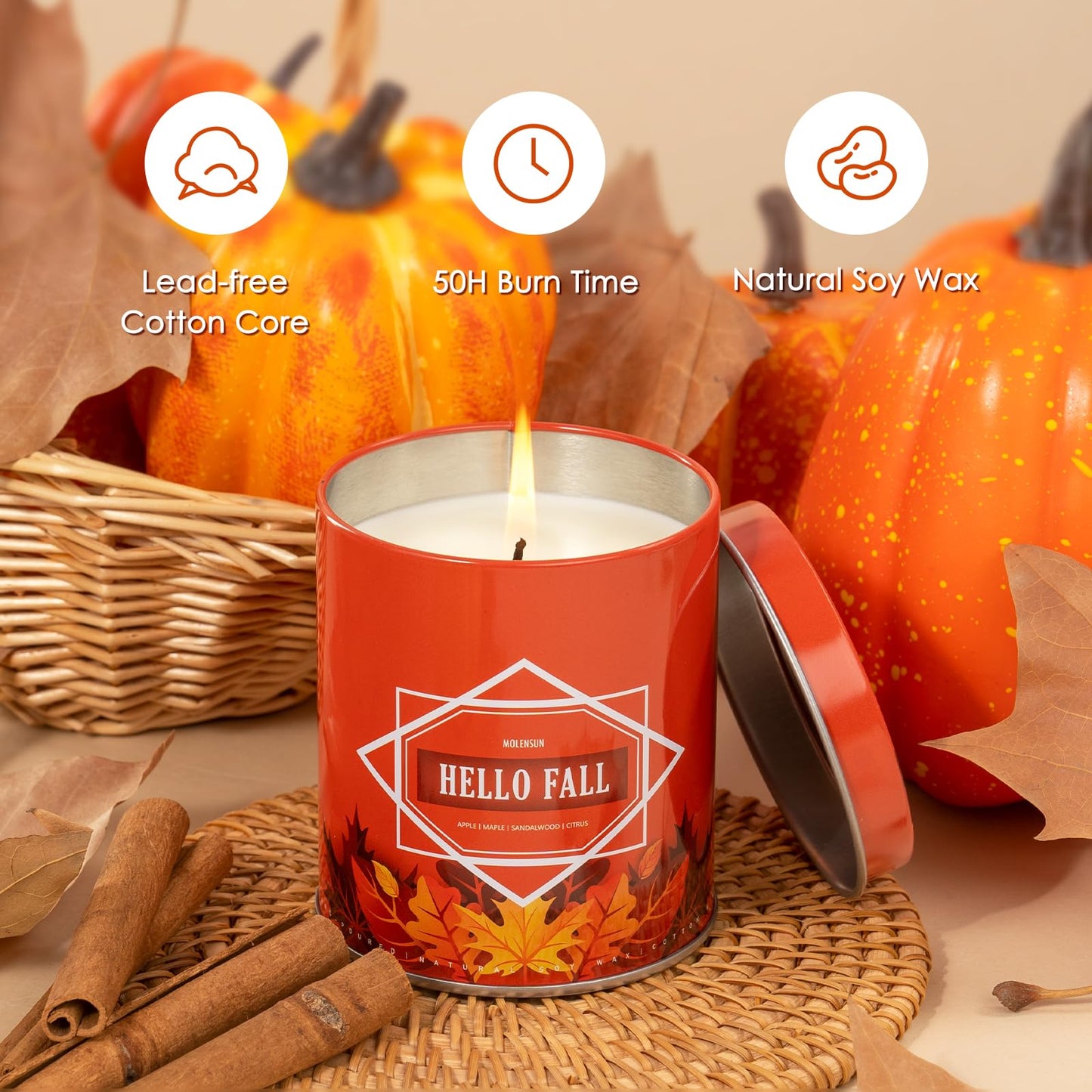 Fall Candles – 36oz (4×9oz) Soy Candles