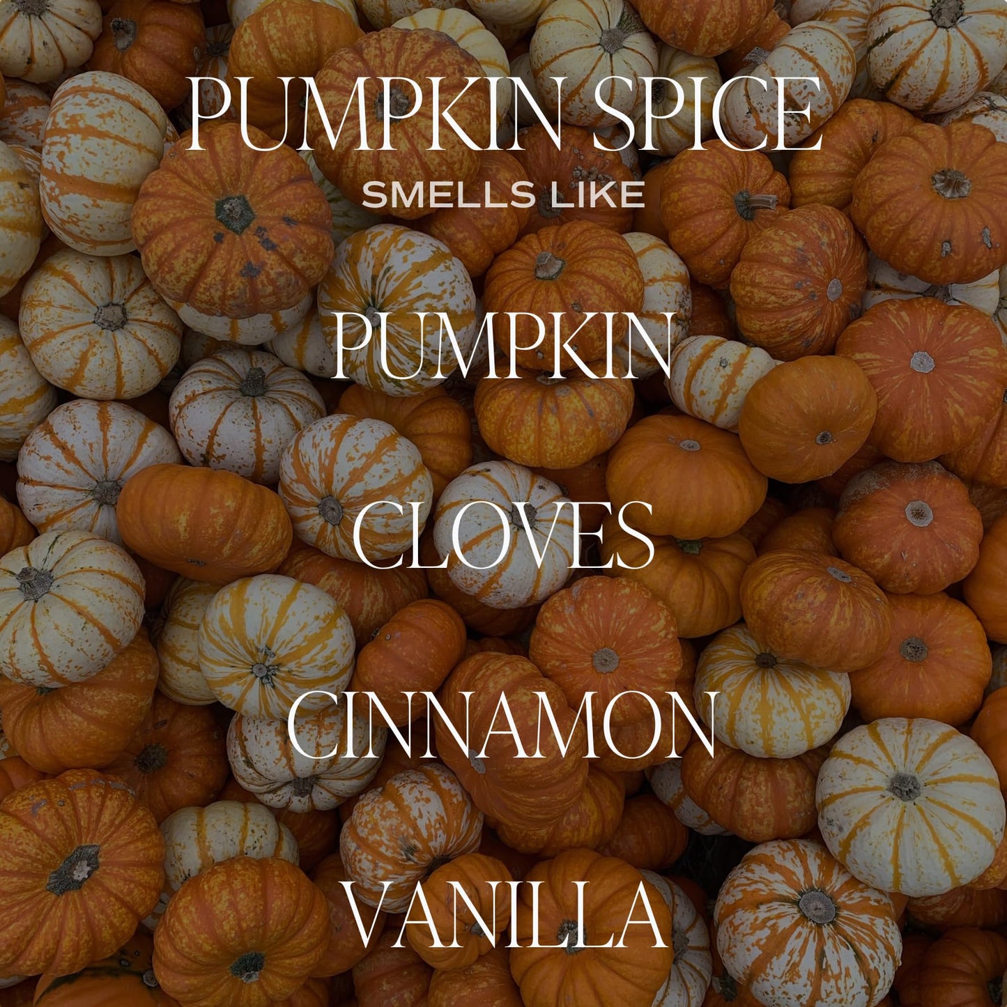 Sweet Water Decor Hello Fall Soy Candle, 9oz