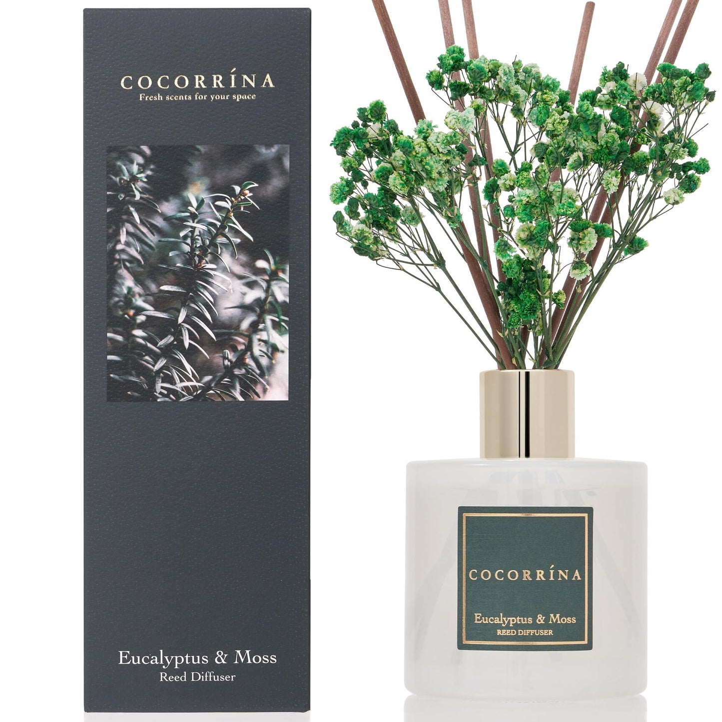 Cocorrína Clean Linen Reed Diffuser 6.7oz