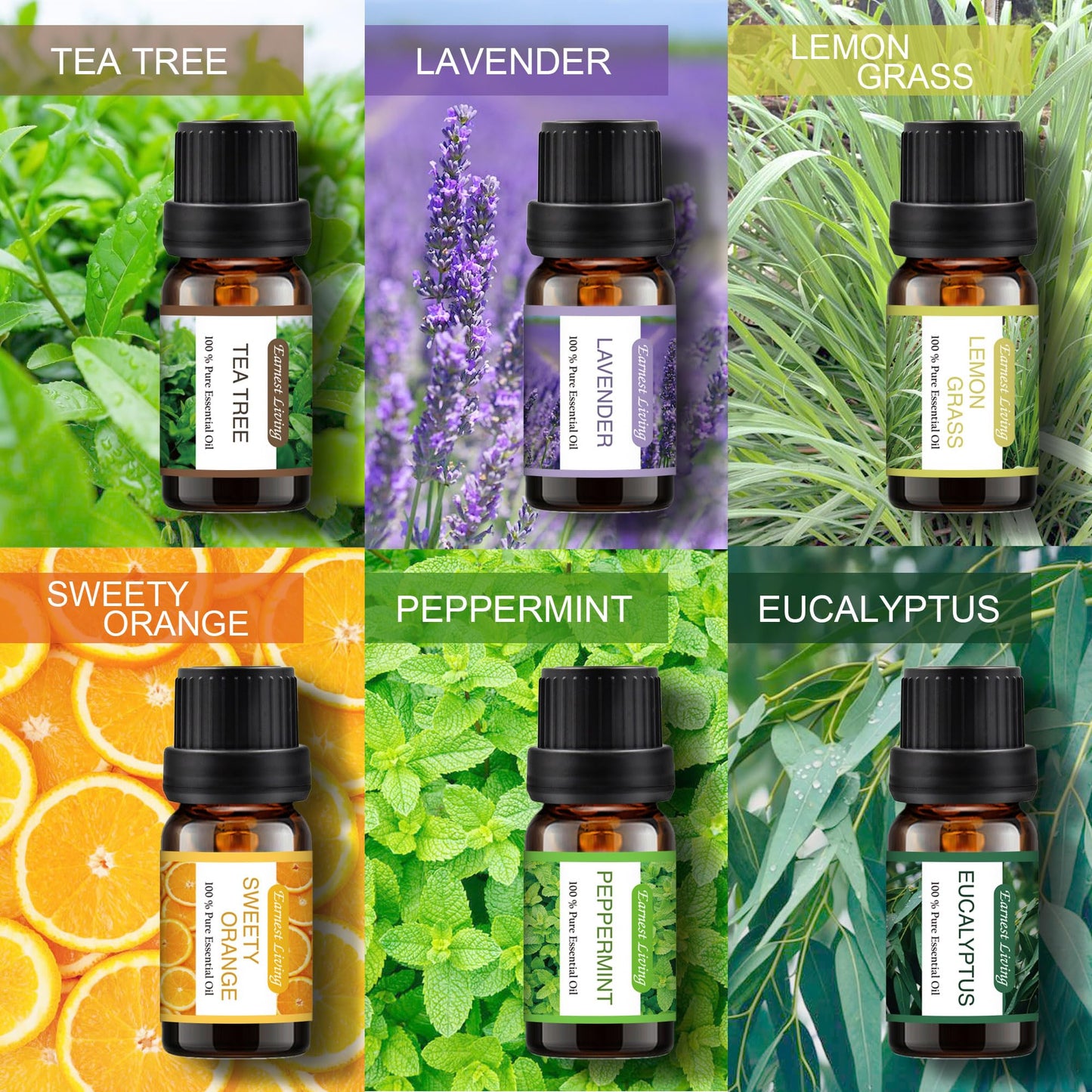 Earnest Living Ceramic Oil Diffuser 100ml