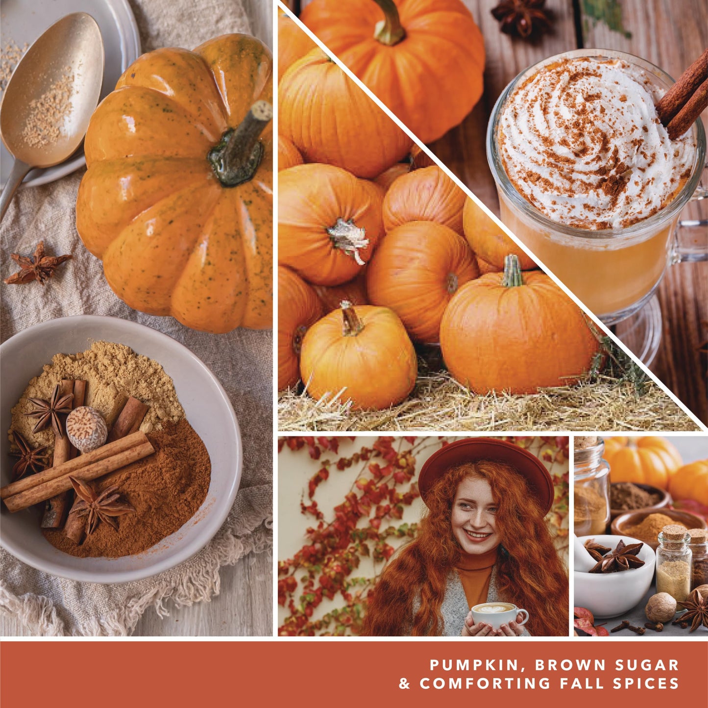 Yankee Candle Spiced Pumpkin, 22oz