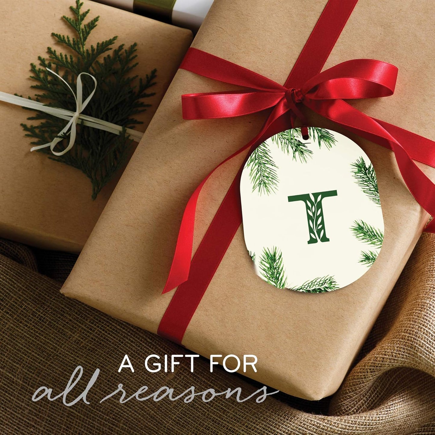 Thymes Frasier Fir Reed Diffuser, 4oz