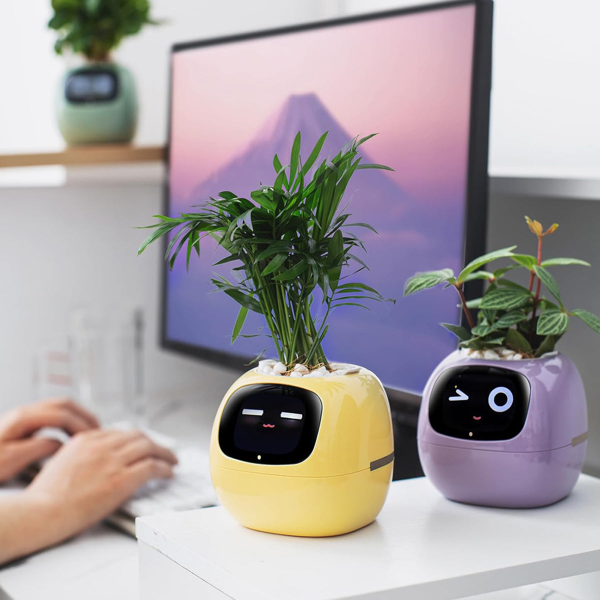 Smart Pet Planter Robot