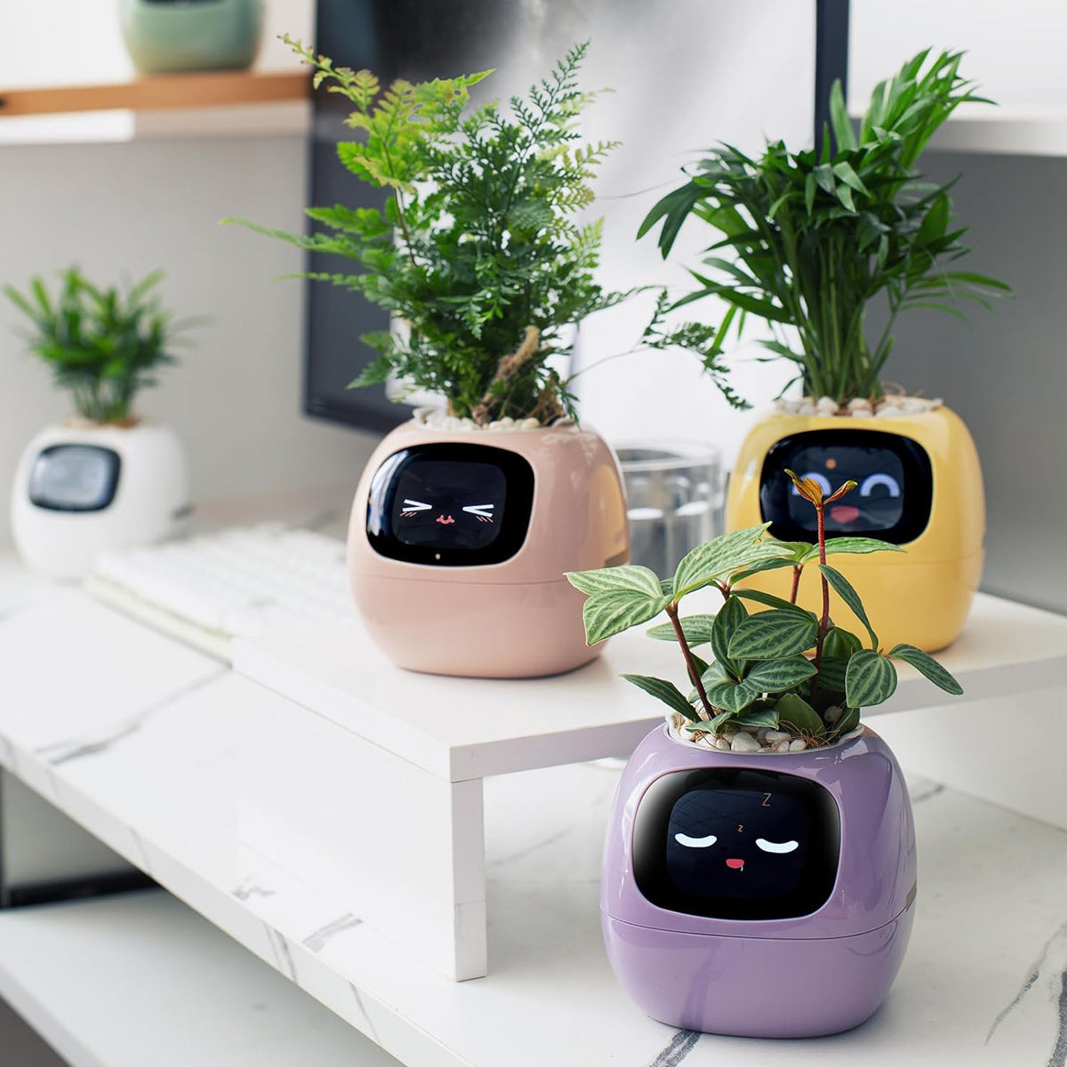 Smart Pet Planter Robot
