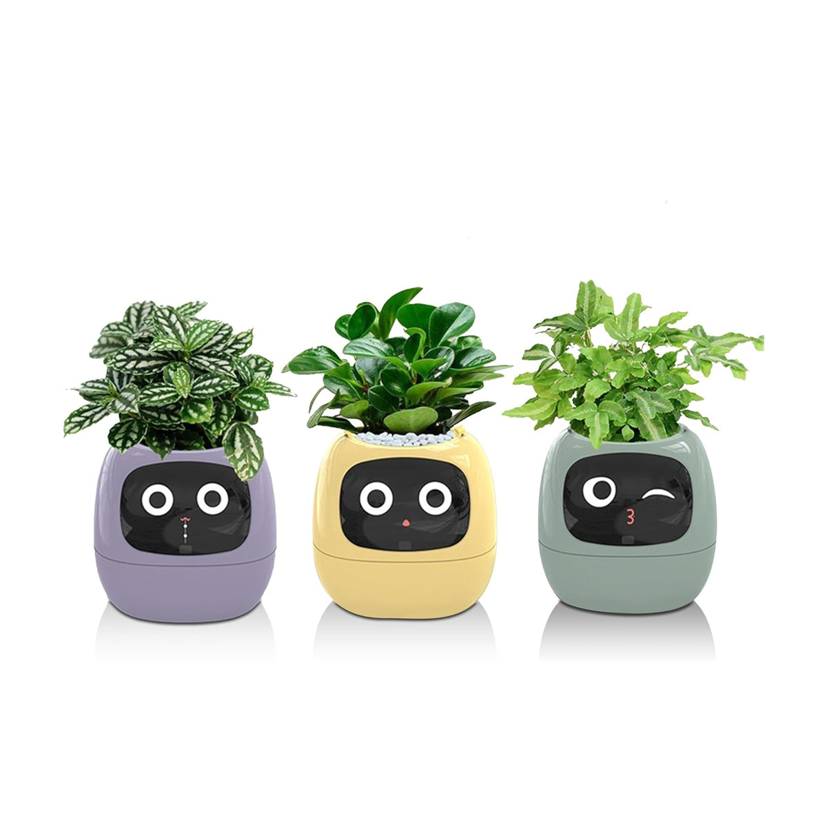 Smart Pet Planter Robot