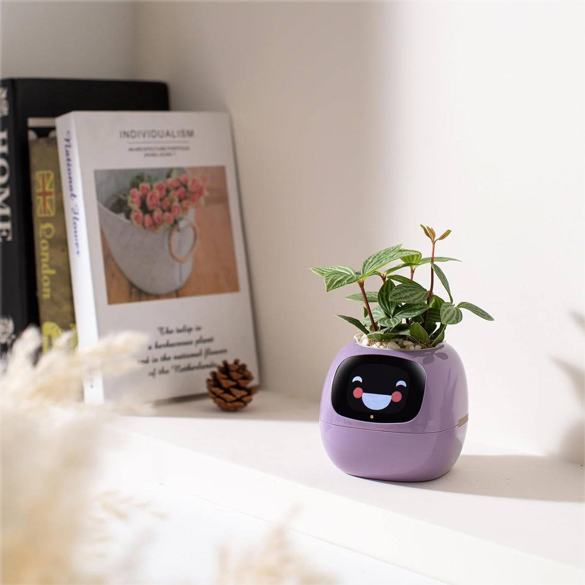 Smart Pet Planter Robot