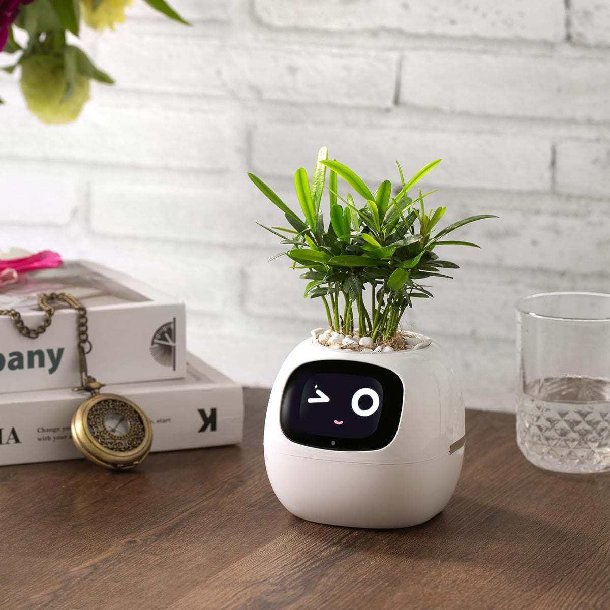 Smart Pet Planter Robot