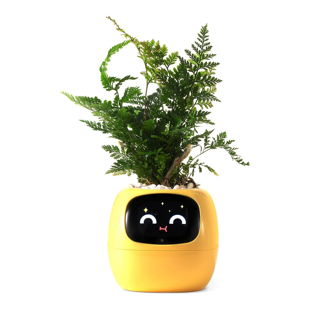 Smart Pet Planter Robot